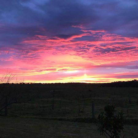 Langleys Port Campbell Hobby Farm Exterior foto