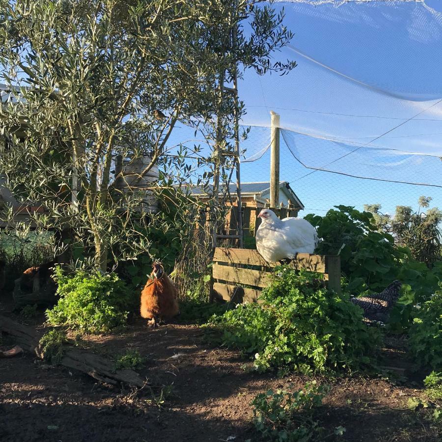 Langleys Port Campbell Hobby Farm Exterior foto