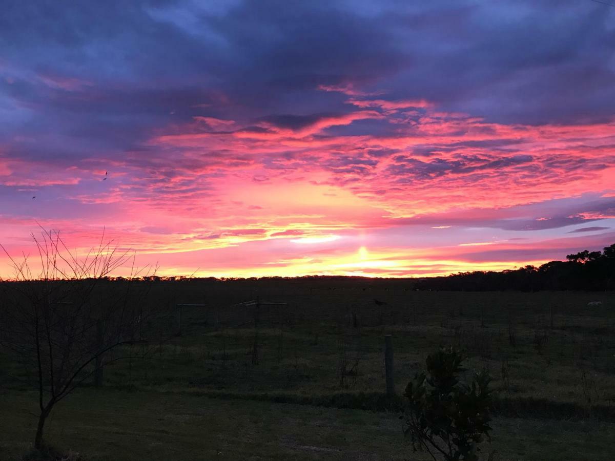 Langleys Port Campbell Hobby Farm Exterior foto