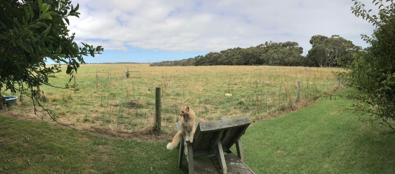 Langleys Port Campbell Hobby Farm Exterior foto